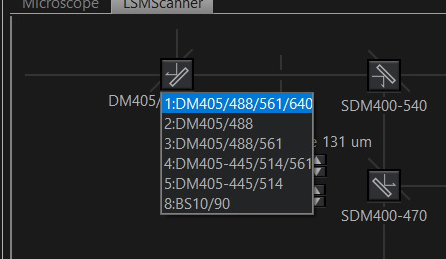 edm-options