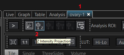 image-tab2