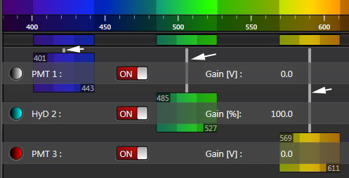 detector-lines