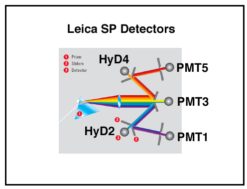 leica-detector-hardware