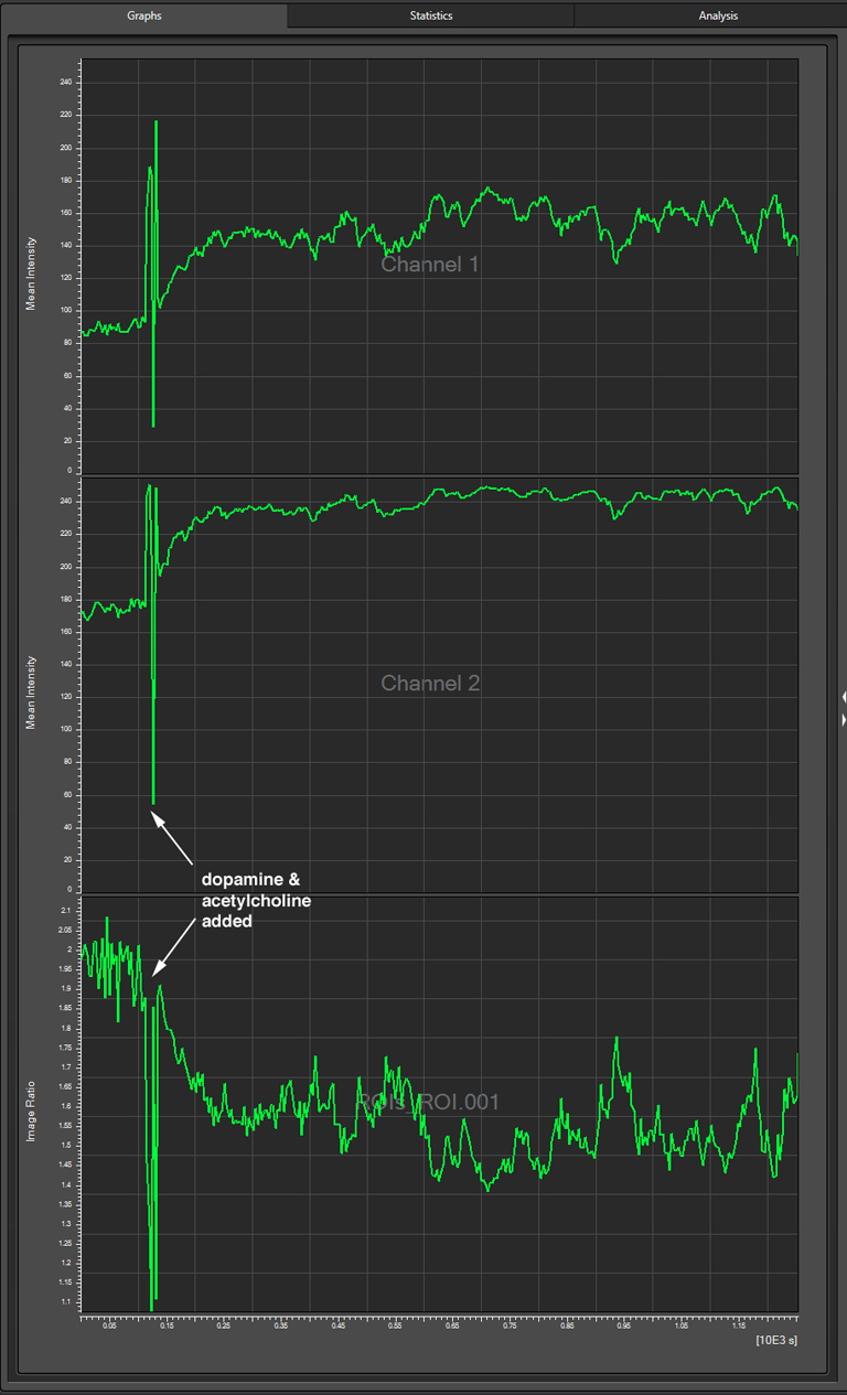 238y-graph2-alpha