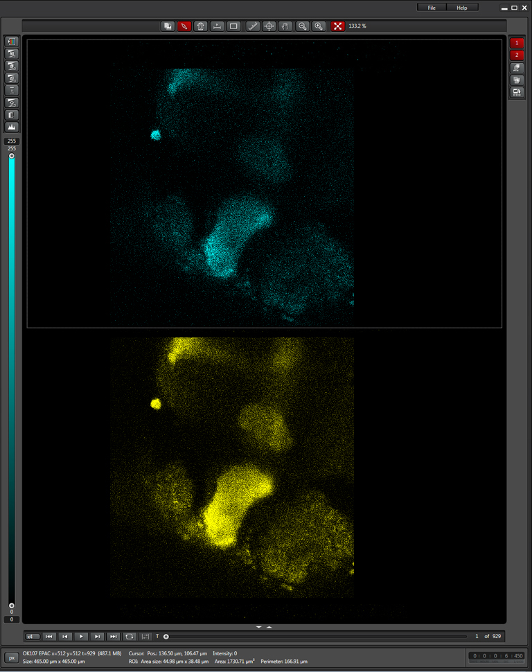 epac-238y-live-scan