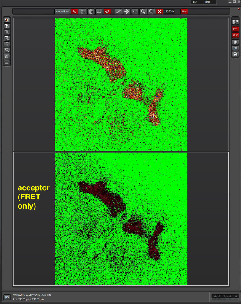 window-se-donor-and-fret2