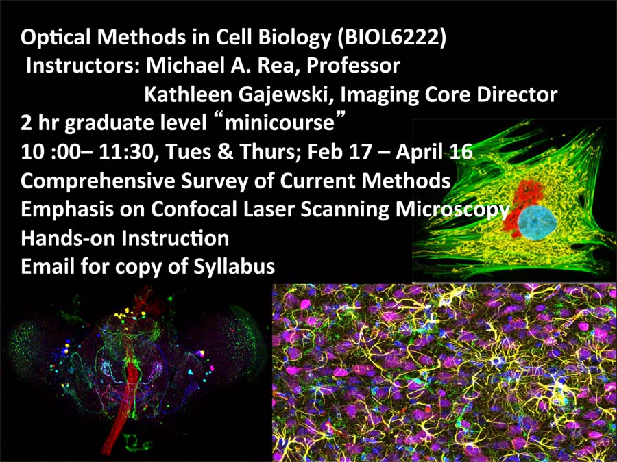 optical-methods-in-cell-biology_2015